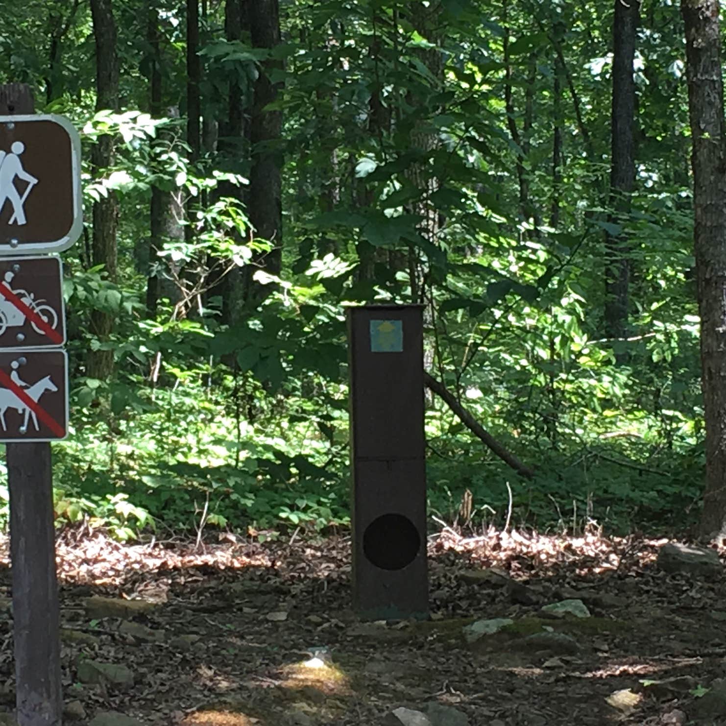 Shores Lake Camping The Dyrt