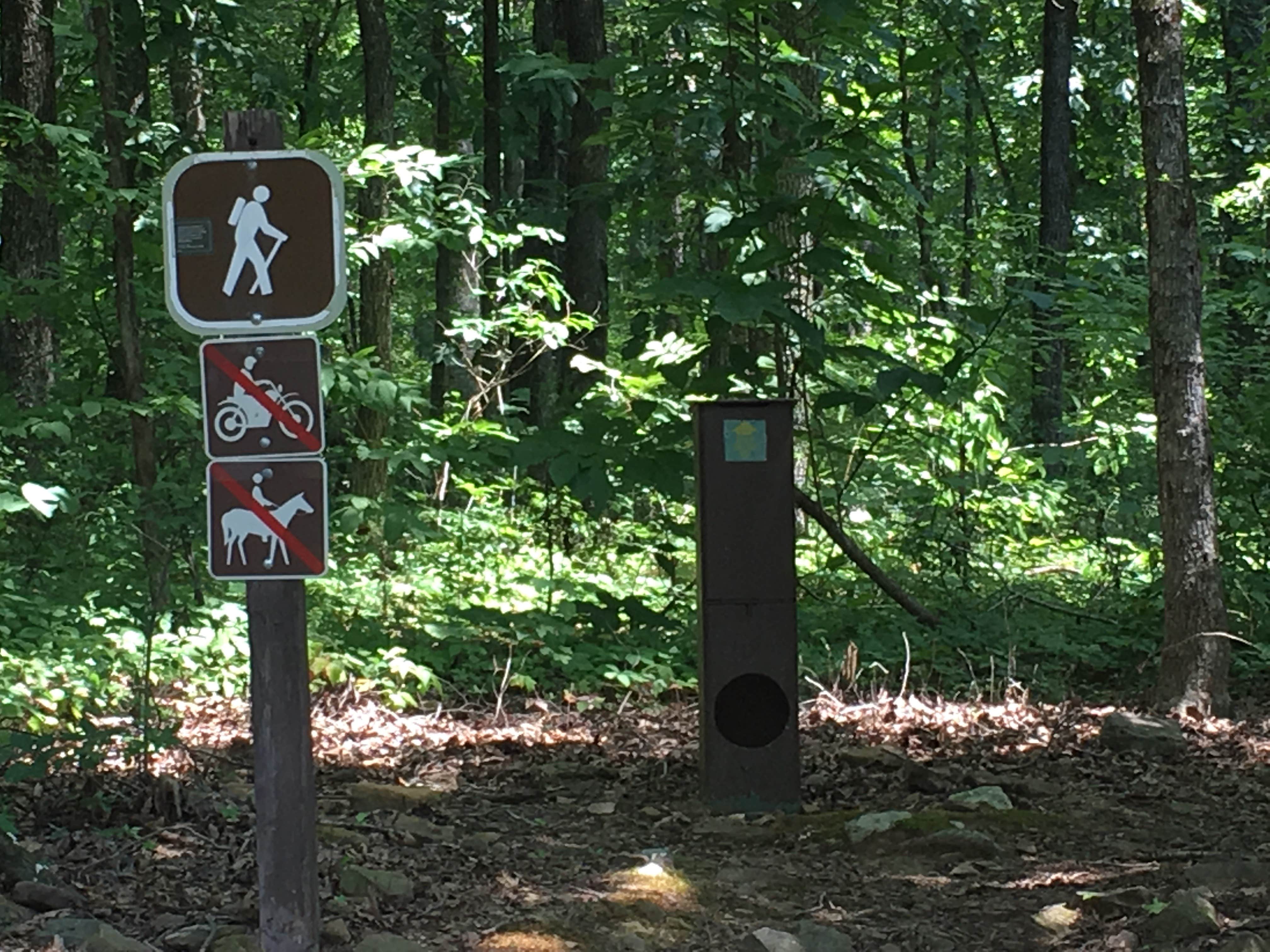 Camper submitted image from Shores Lake - 3