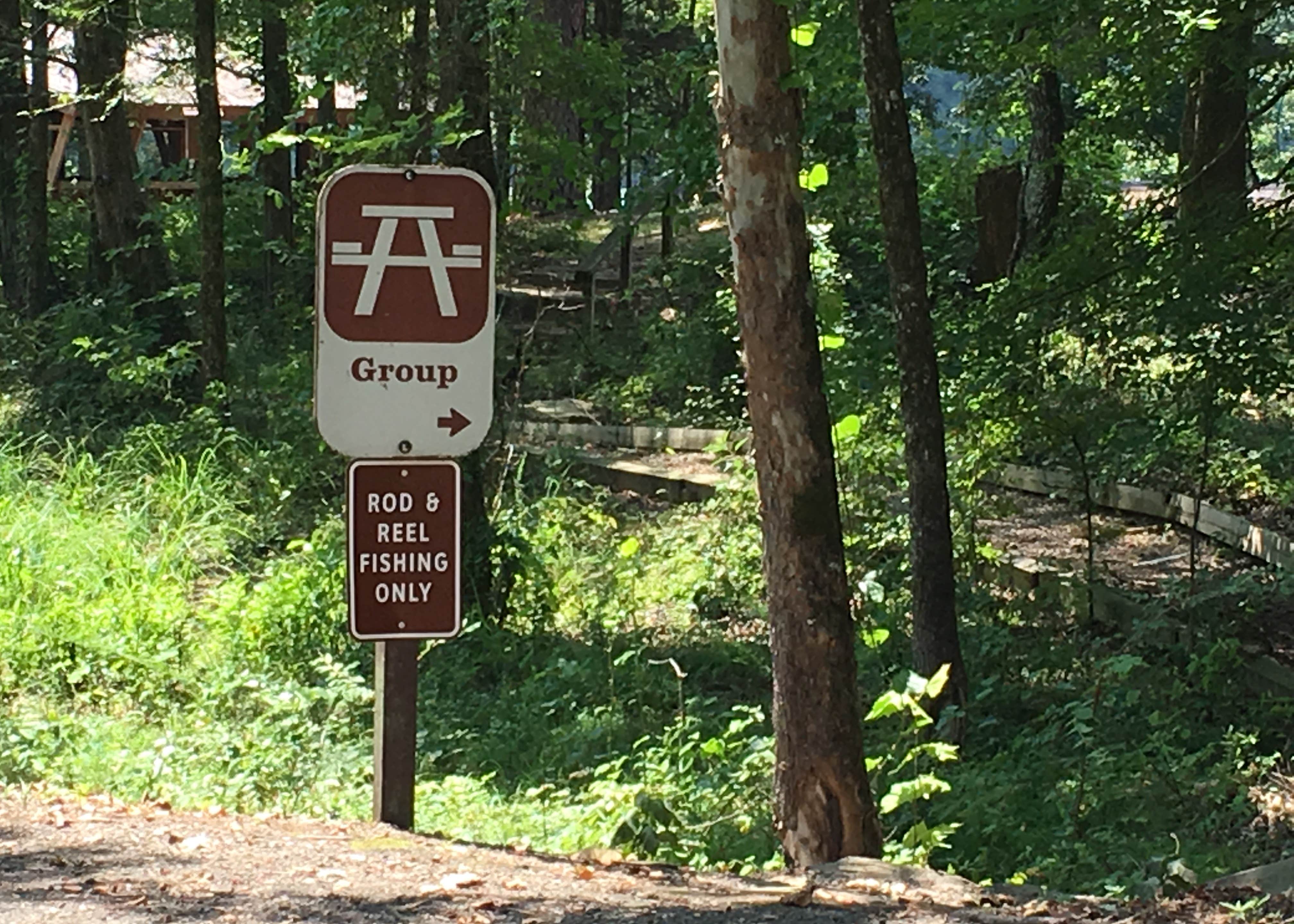 Shores Lake Camping The Dyrt