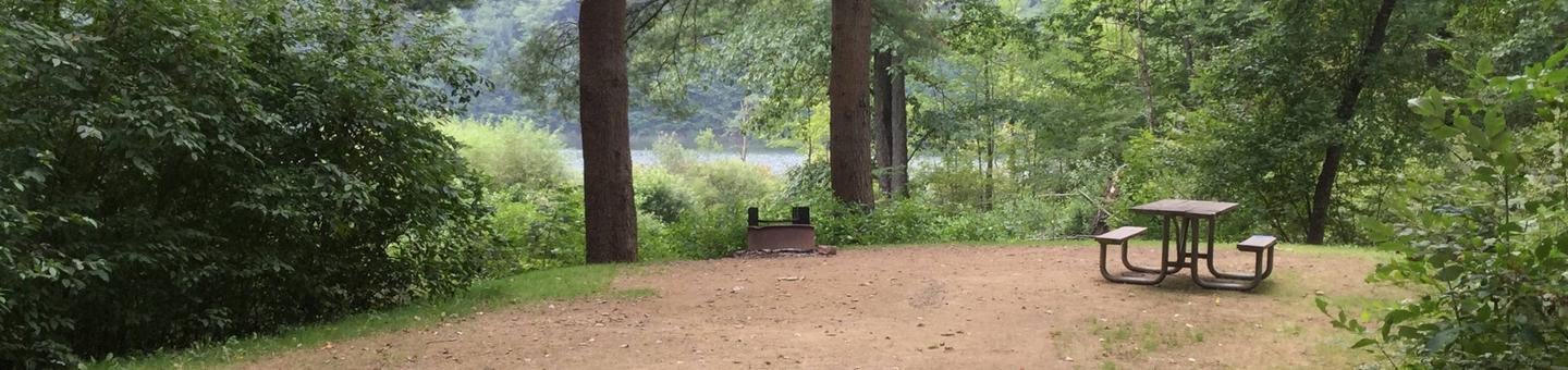 Camper submitted image from Red Bridge Recreation Area - Allegheny National Forest - 3