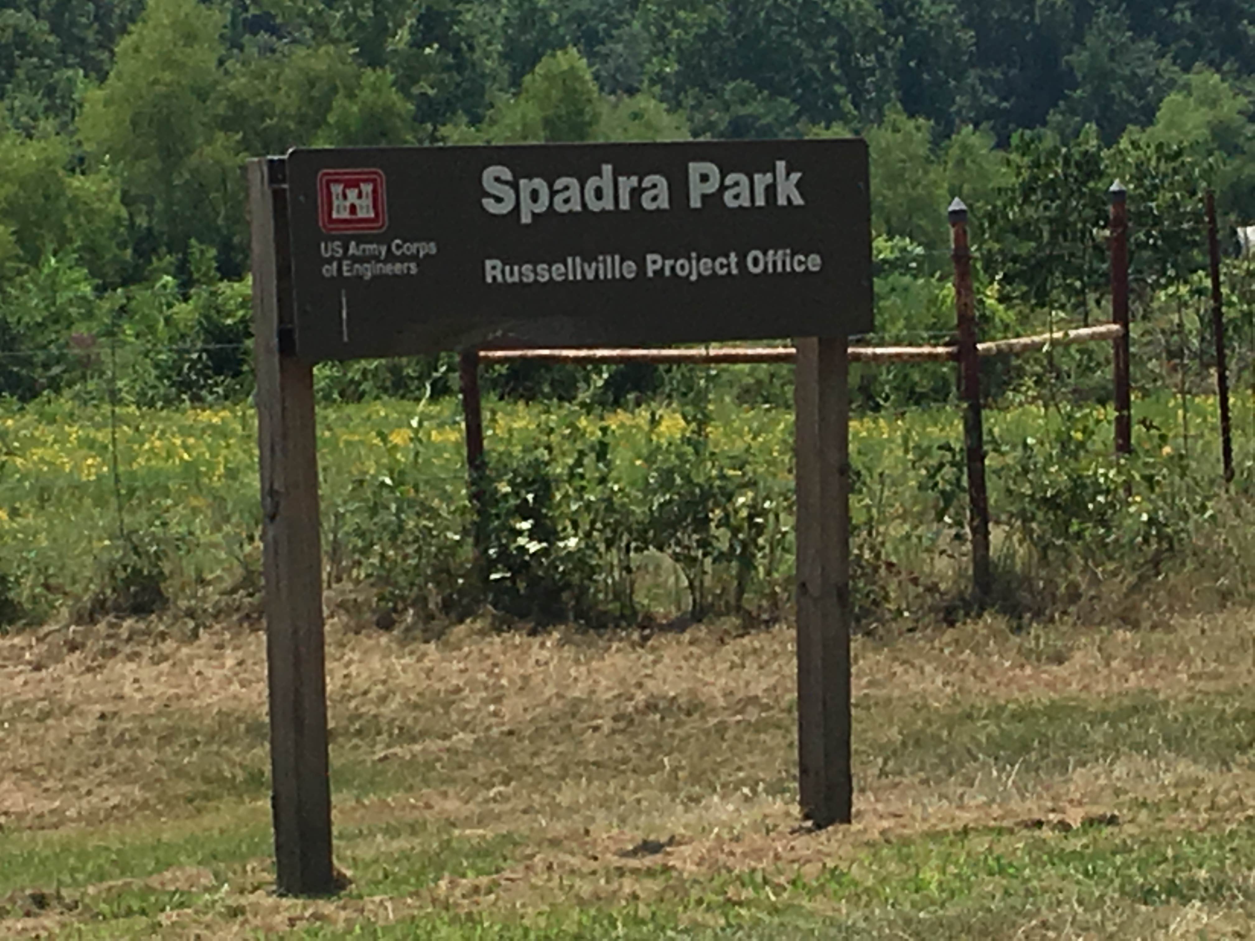 Camper-submitted photo at Spadra - Lake Dardanelle near Lake Dardanelle