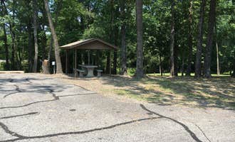 Camping near Wiederkehr Winery RV Park: Spadra - Lake Dardanelle, Clarksville, Arkansas