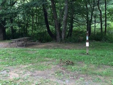 Camper submitted image from Outflow Recreation Area (PA) - 5
