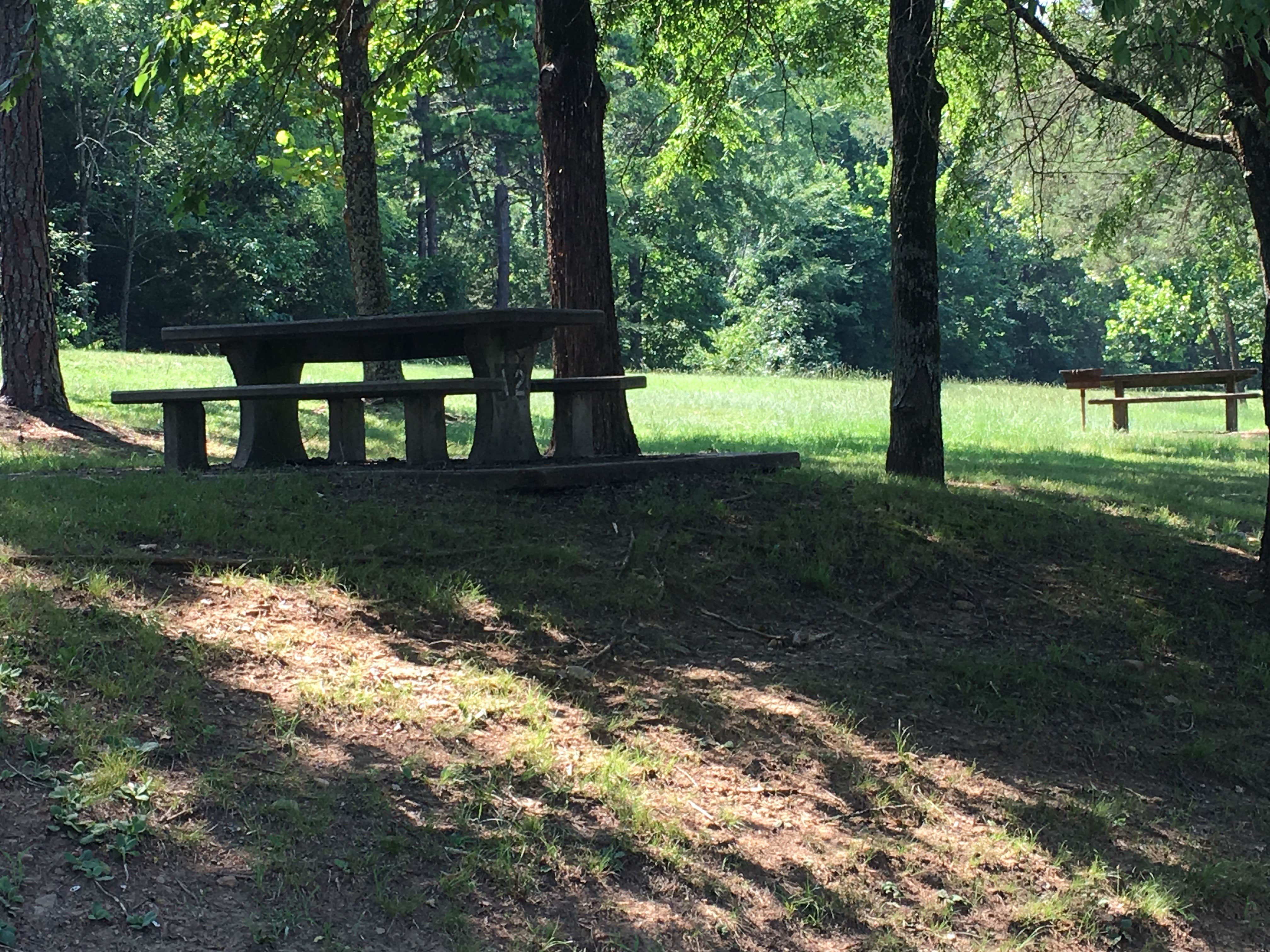 Camper submitted image from Riverview - 2
