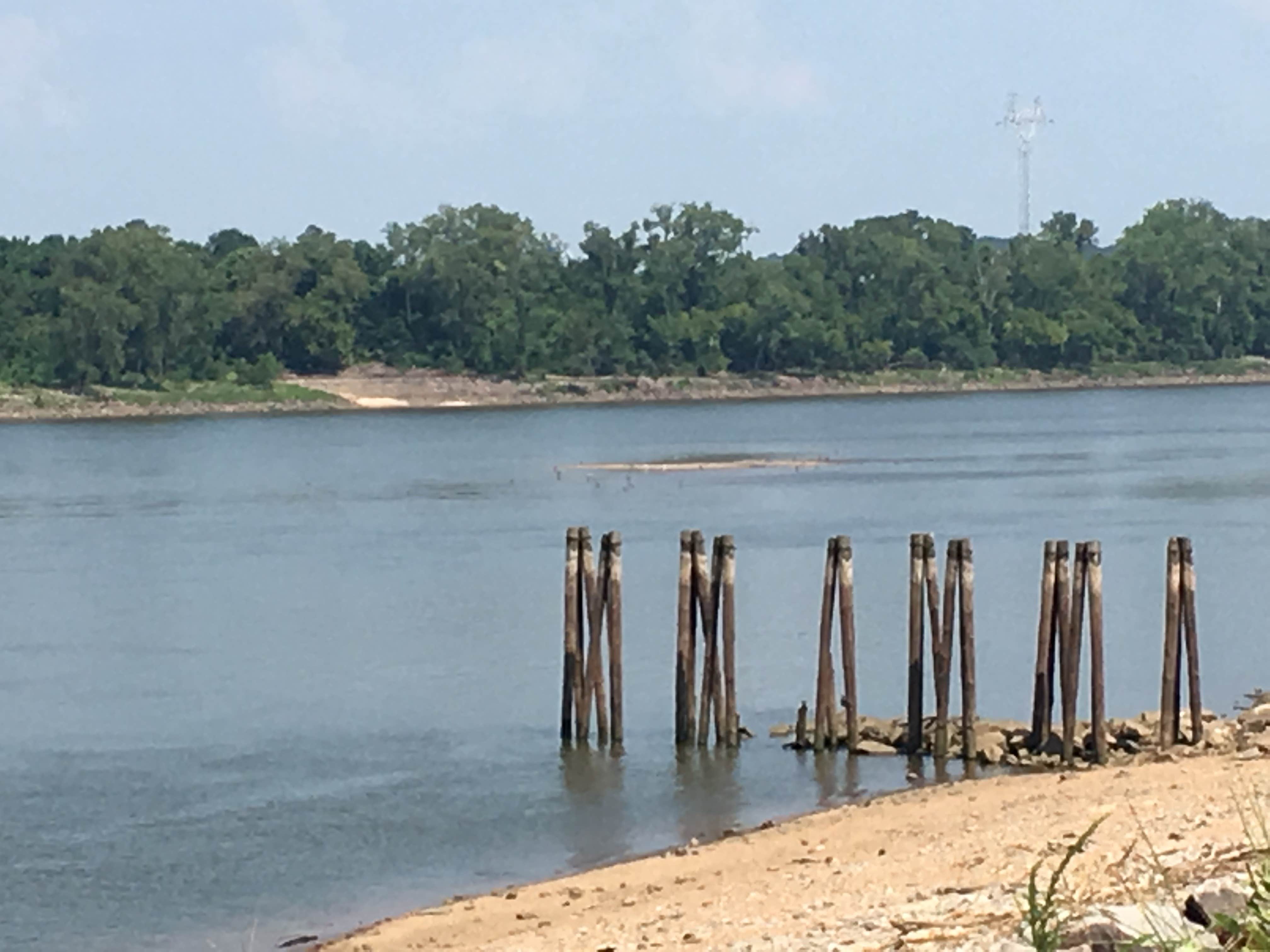 Camper-submitted photo at Riverview near Russellville, AR