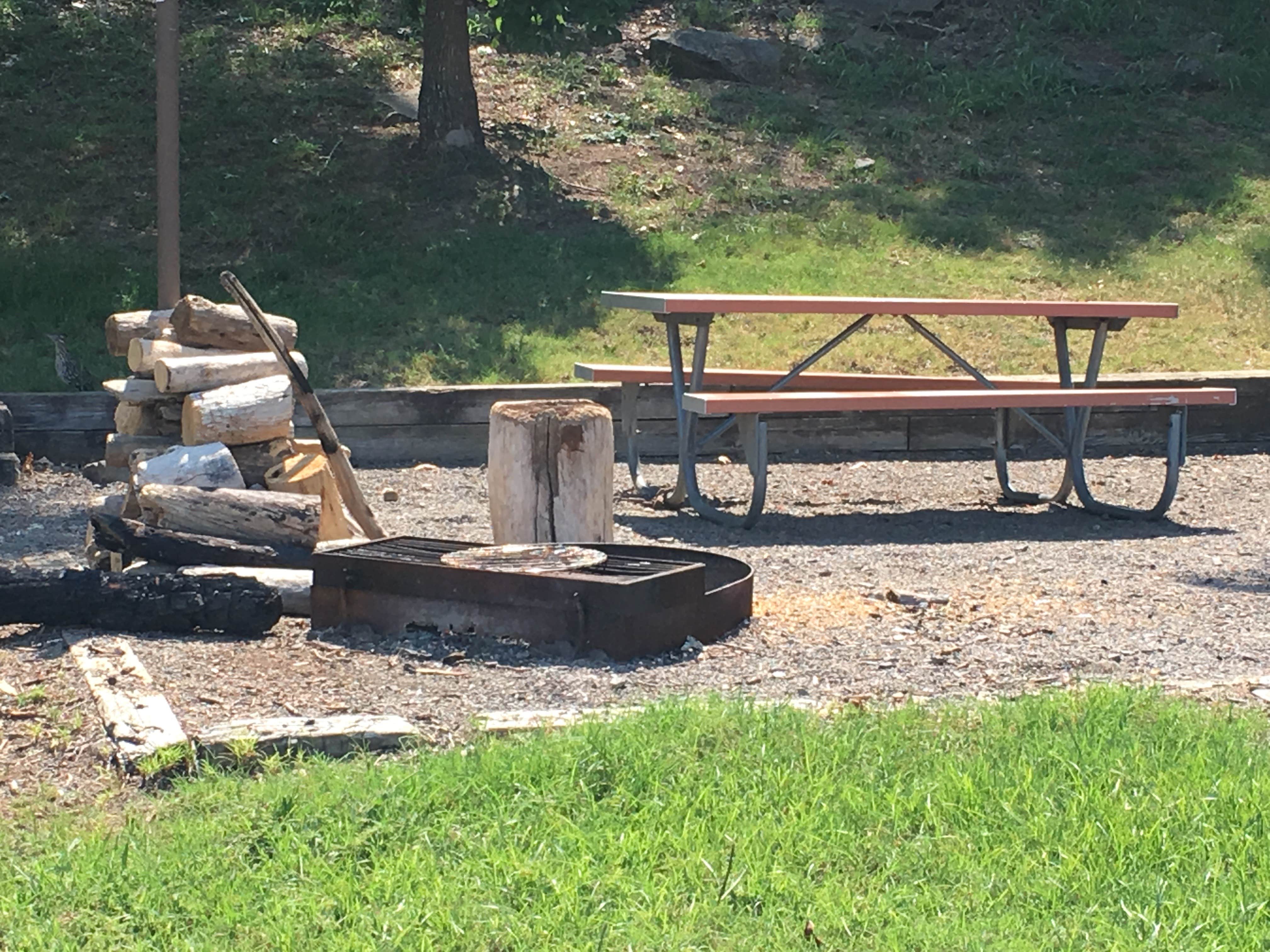 Camper-submitted photo at Riverview near Russellville, AR