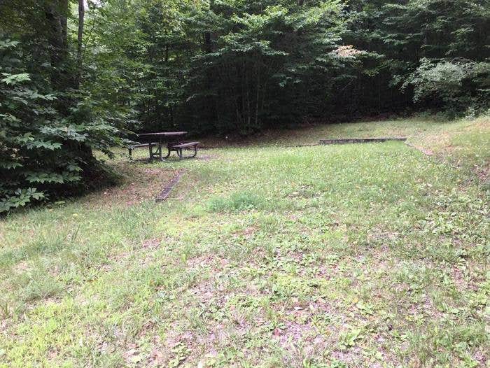 Camper submitted image from Twin Lakes Recreation Area - Allegheny National Forest - 3