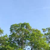 Review photo of Jamaica State Park Campground by Meike  W., June 28, 2016
