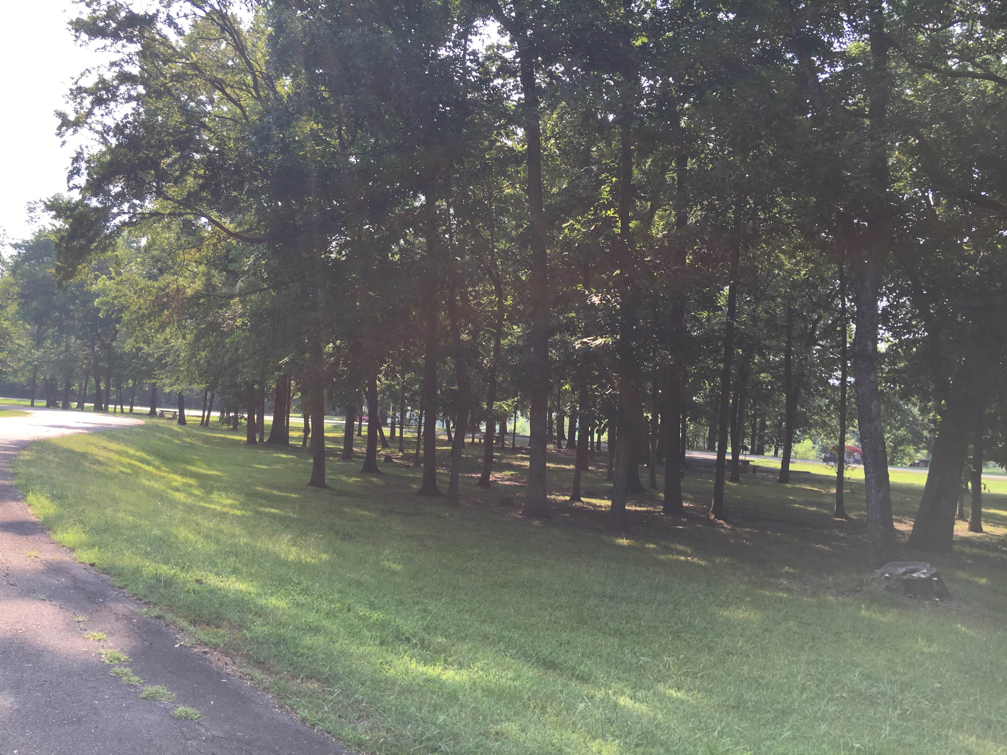 Camper submitted image from Cane Creek - 5