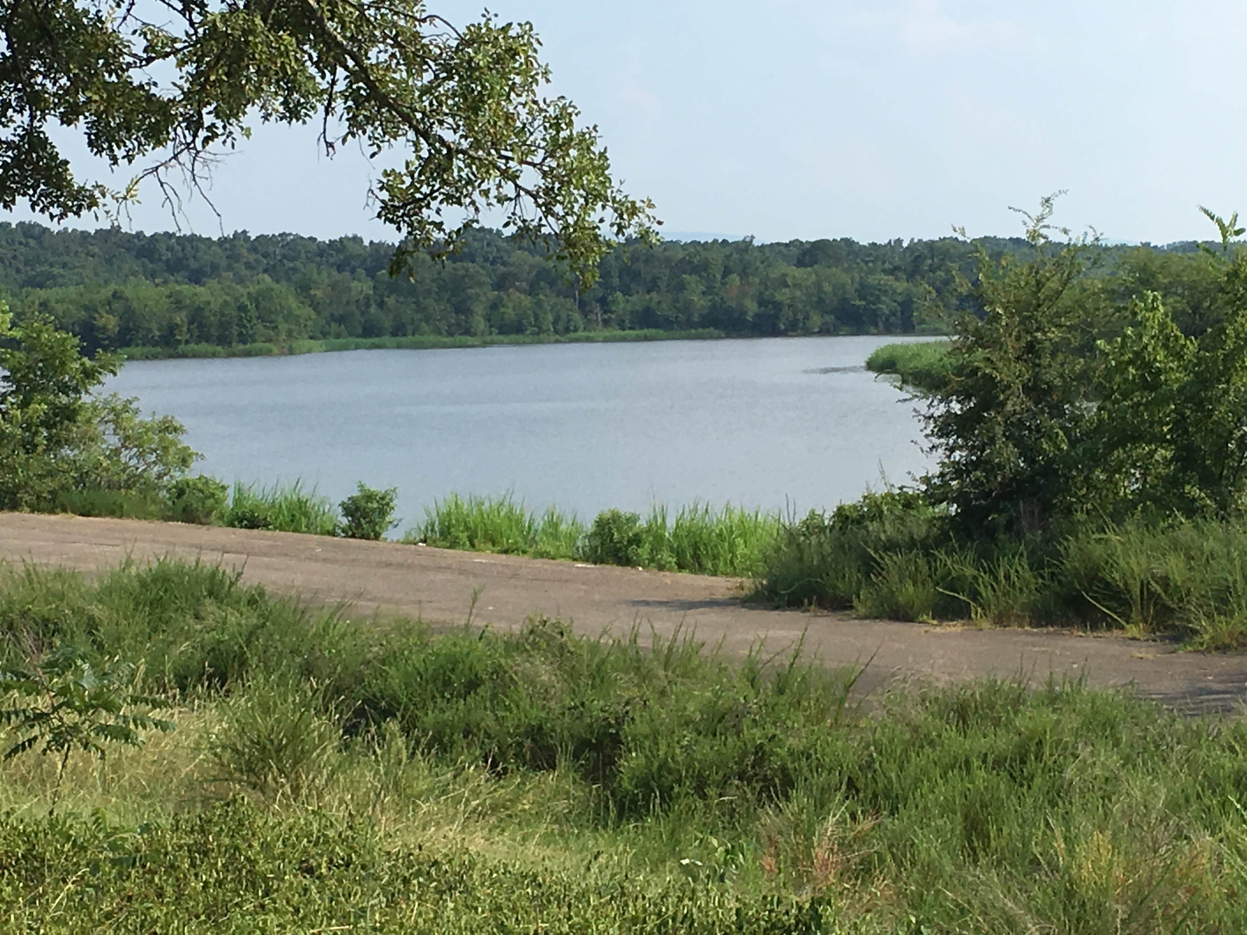Camper submitted image from Cane Creek - 4
