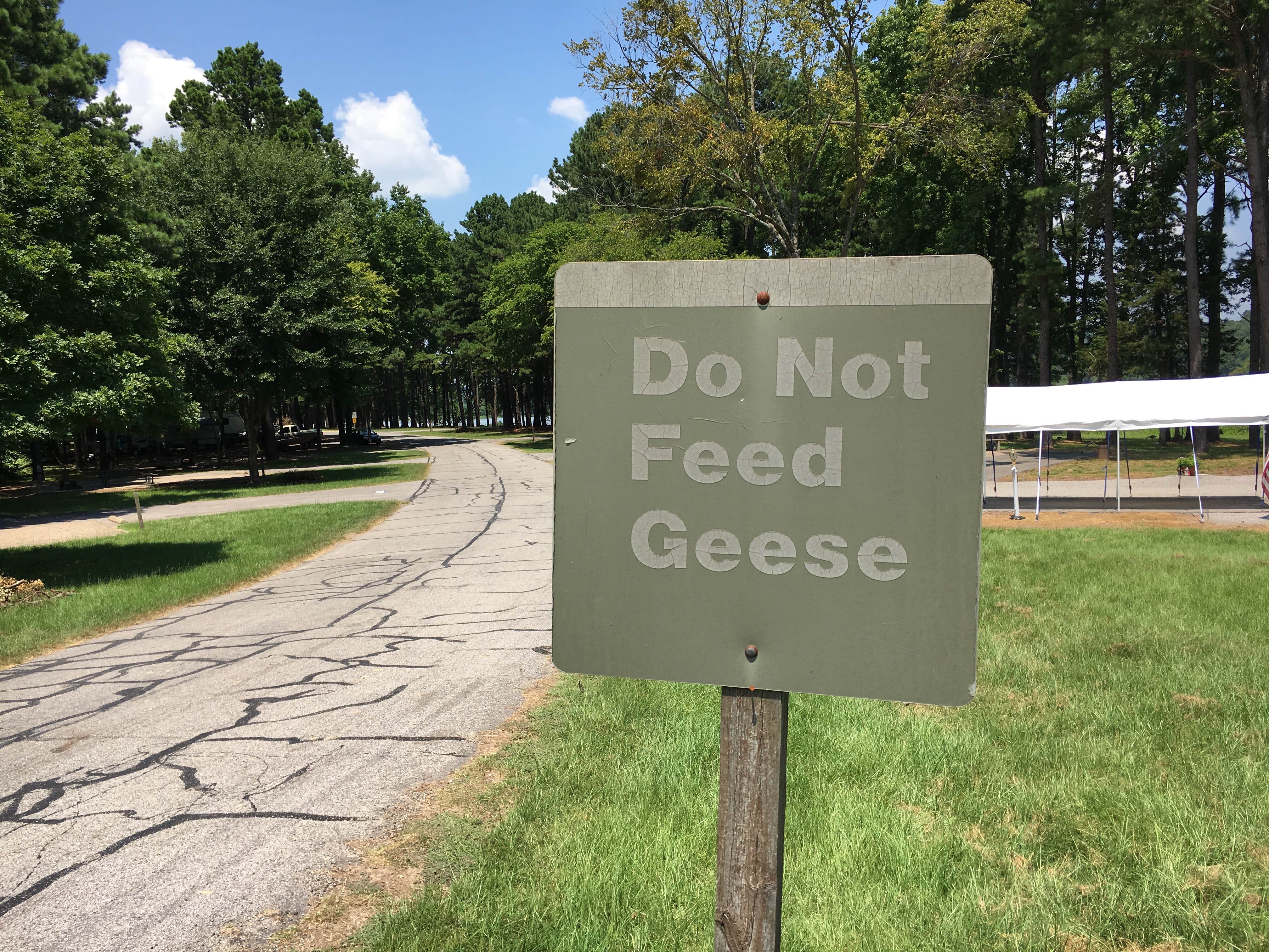 Camper-submitted photo at Aux Arc near Ozark Lake