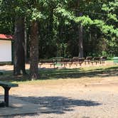 Review photo of Russellville Campground — Lake Dardanelle State Park by Matt S., July 23, 2017