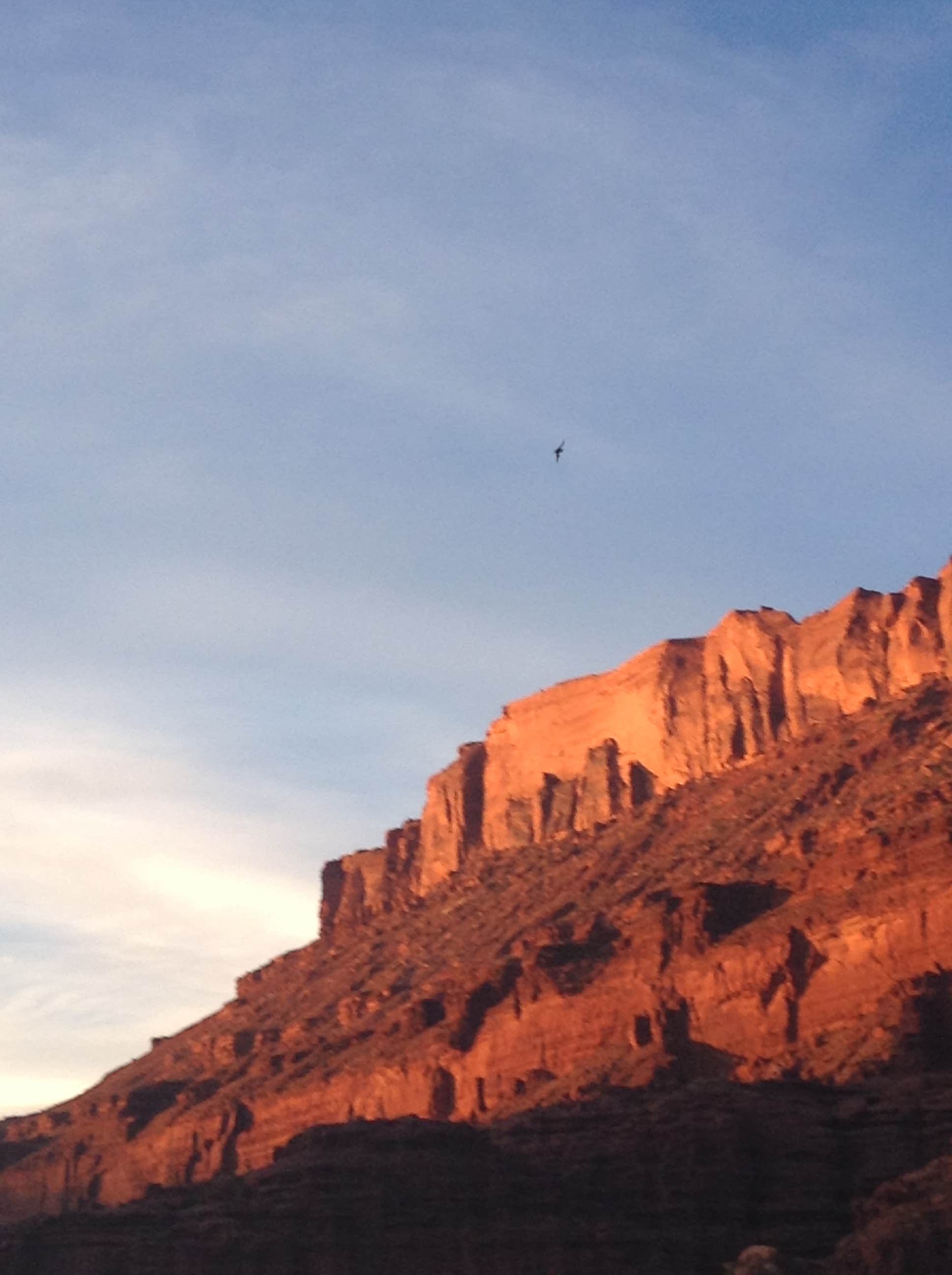 Camper submitted image from Drinks Canyon Camping Area - 2