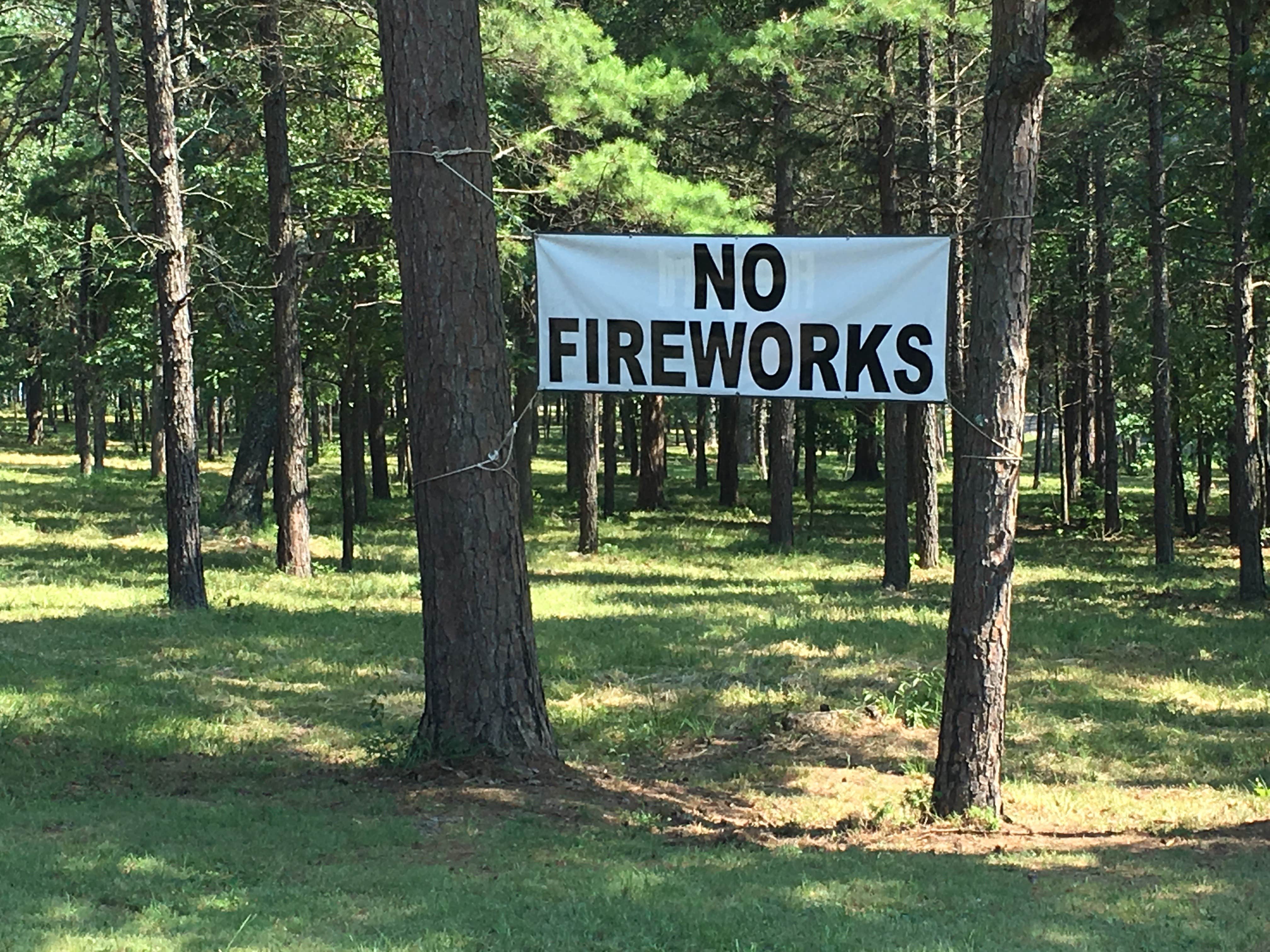 Camper submitted image from Delaware Park - 2
