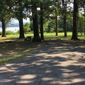 Review photo of Delaware Park by Matt S., July 23, 2017