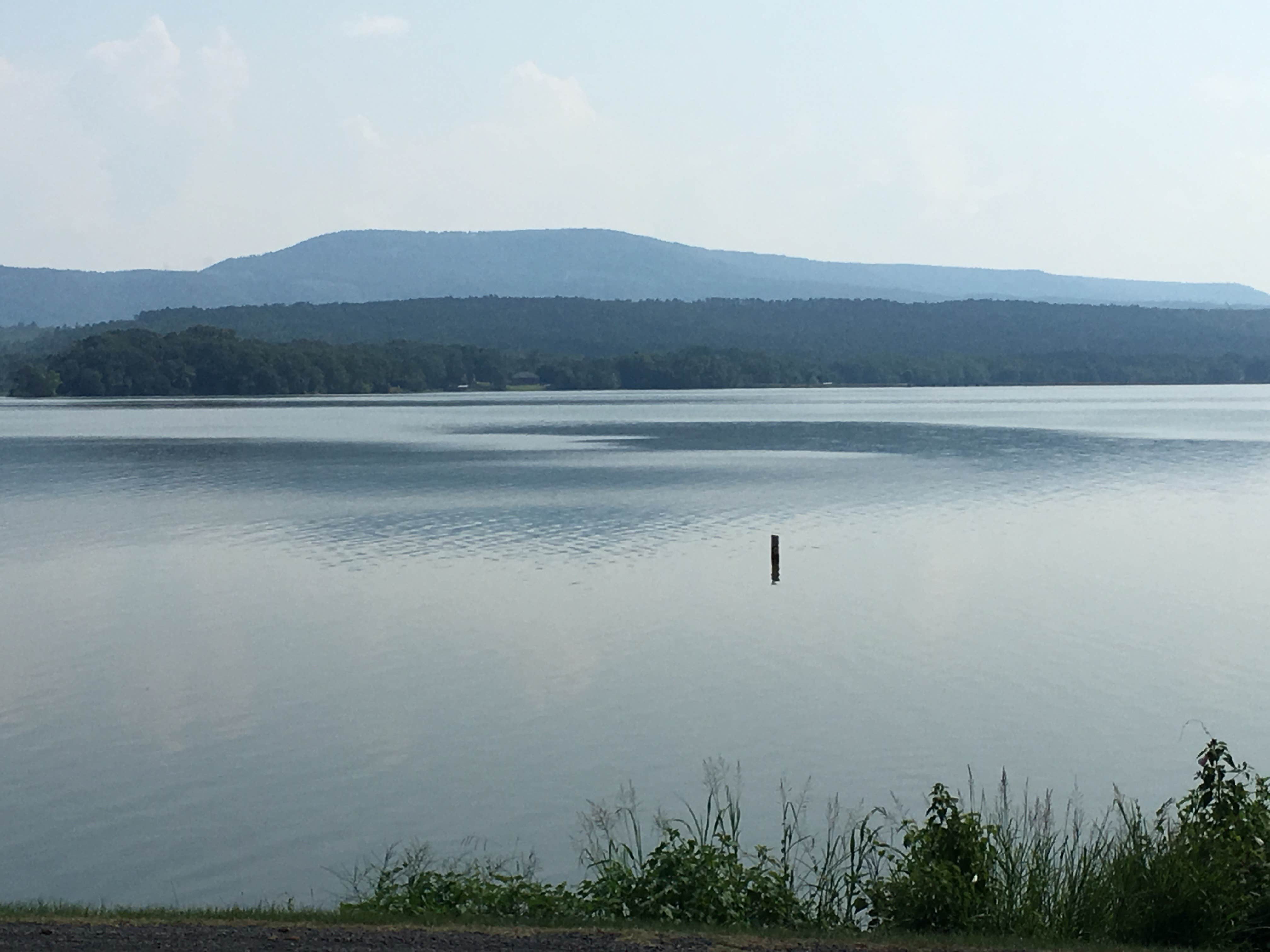 Camper-submitted photo at Delaware Park near Russellville, AR