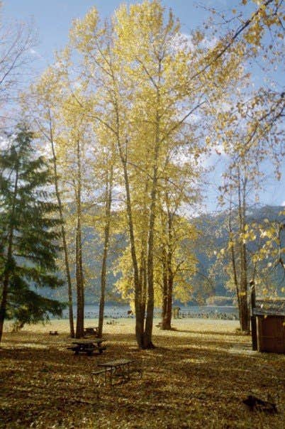 Camper submitted image from Cougar Island — Ross Lake National Recreation Area - 2