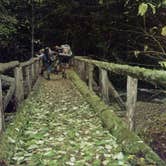 Review photo of Cougar Island — Ross Lake National Recreation Area by Sarah C., July 23, 2017