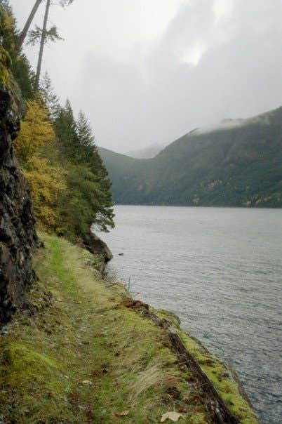 Camper submitted image from Cougar Island — Ross Lake National Recreation Area - 4