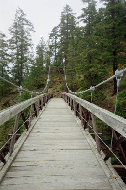 Camper submitted image from Cougar Island — Ross Lake National Recreation Area - 3