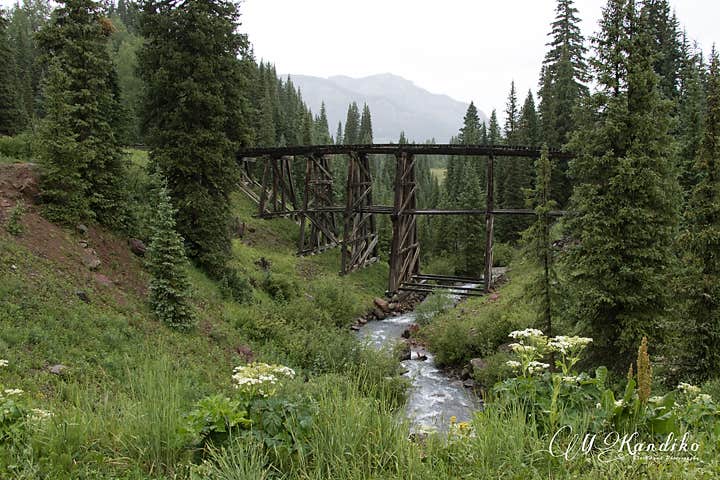 Camper submitted image from Priest Lake Dispersed Camping Area - 5