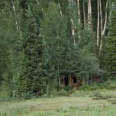 Review photo of Priest Lake Dispersed Camping Area by Melissa K., July 22, 2017