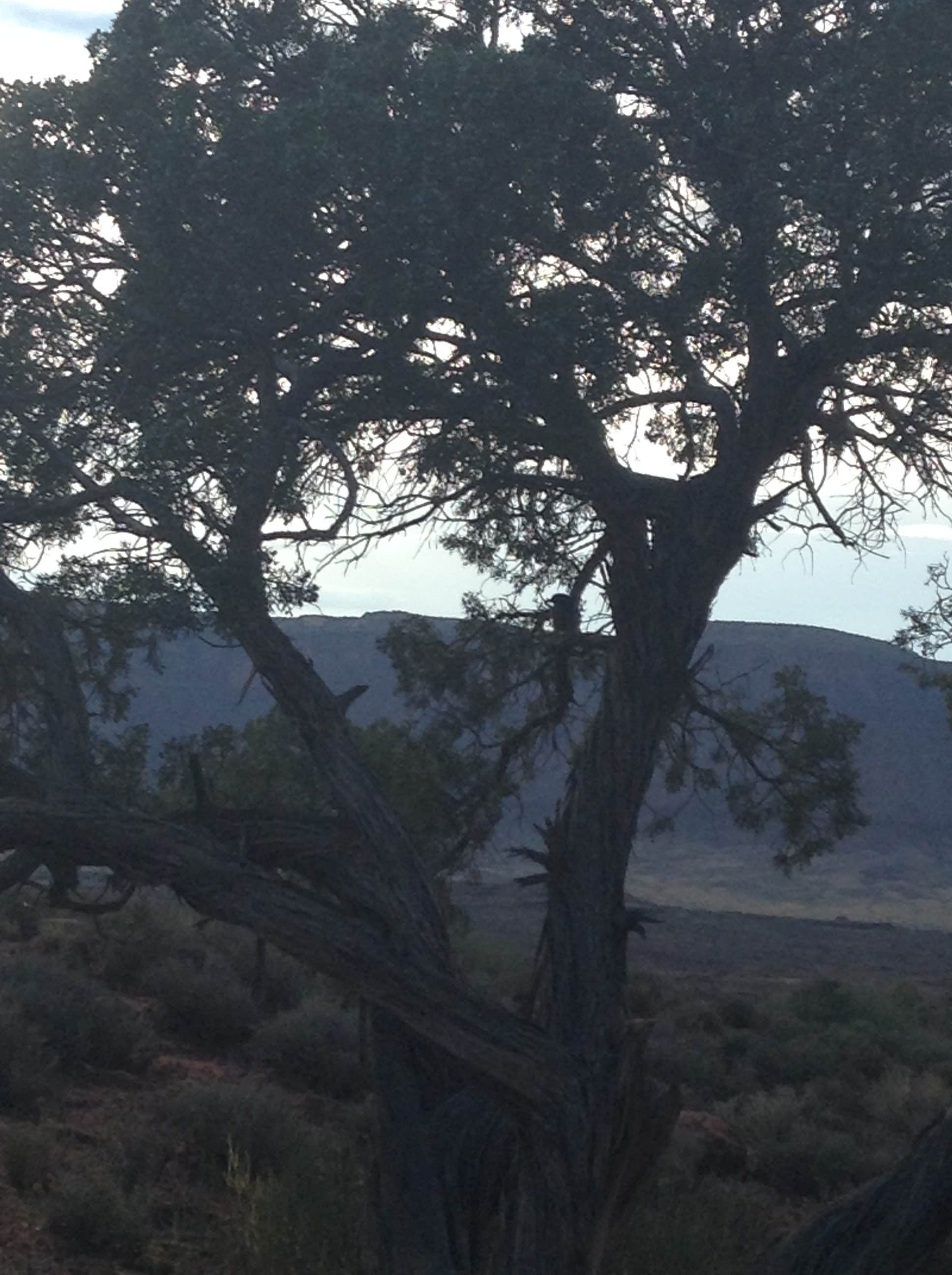 Camper-submitted photo at Sun Outdoors Moab Downtown near Arches National Park