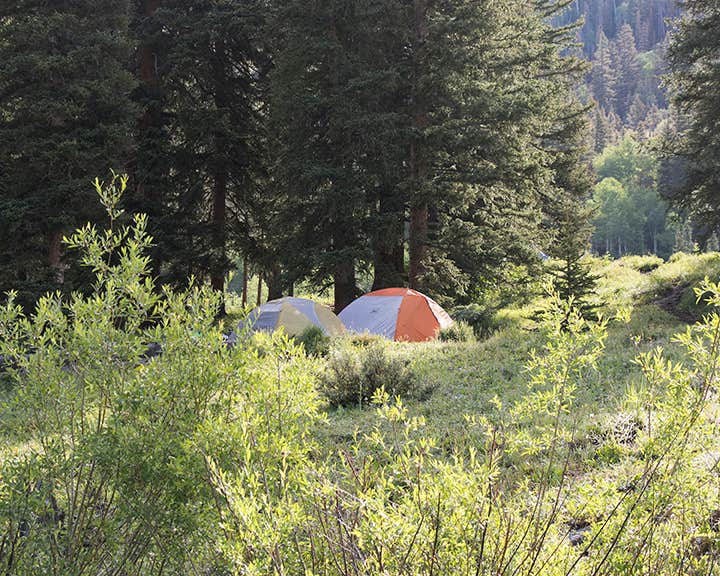 Melissa K.'s photo of tent camping at Priest Lake Dispersed Camping Area near Grand Mesa, Uncompahgre and Gunnison National Forests