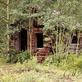 Review photo of Priest Lake Dispersed Camping Area by Melissa K., July 22, 2017