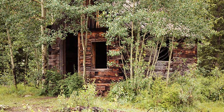 Camper submitted image from Priest Lake Dispersed Camping Area