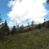 Review photo of Elkmont Campground — Great Smoky Mountains National Park by Sarah C., July 23, 2017