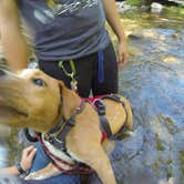 Review photo of Elkmont Campground — Great Smoky Mountains National Park by Sarah C., July 23, 2017