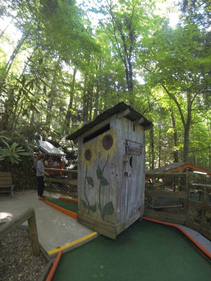 Balsam - Photo 2