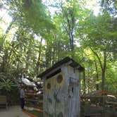 Review photo of Elkmont Campground — Great Smoky Mountains National Park by Sarah C., July 23, 2017