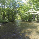 Review photo of Elkmont Campground — Great Smoky Mountains National Park by Sarah C., July 23, 2017