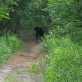 Review photo of Limekiln Lake Campground by Kevin C., July 23, 2017