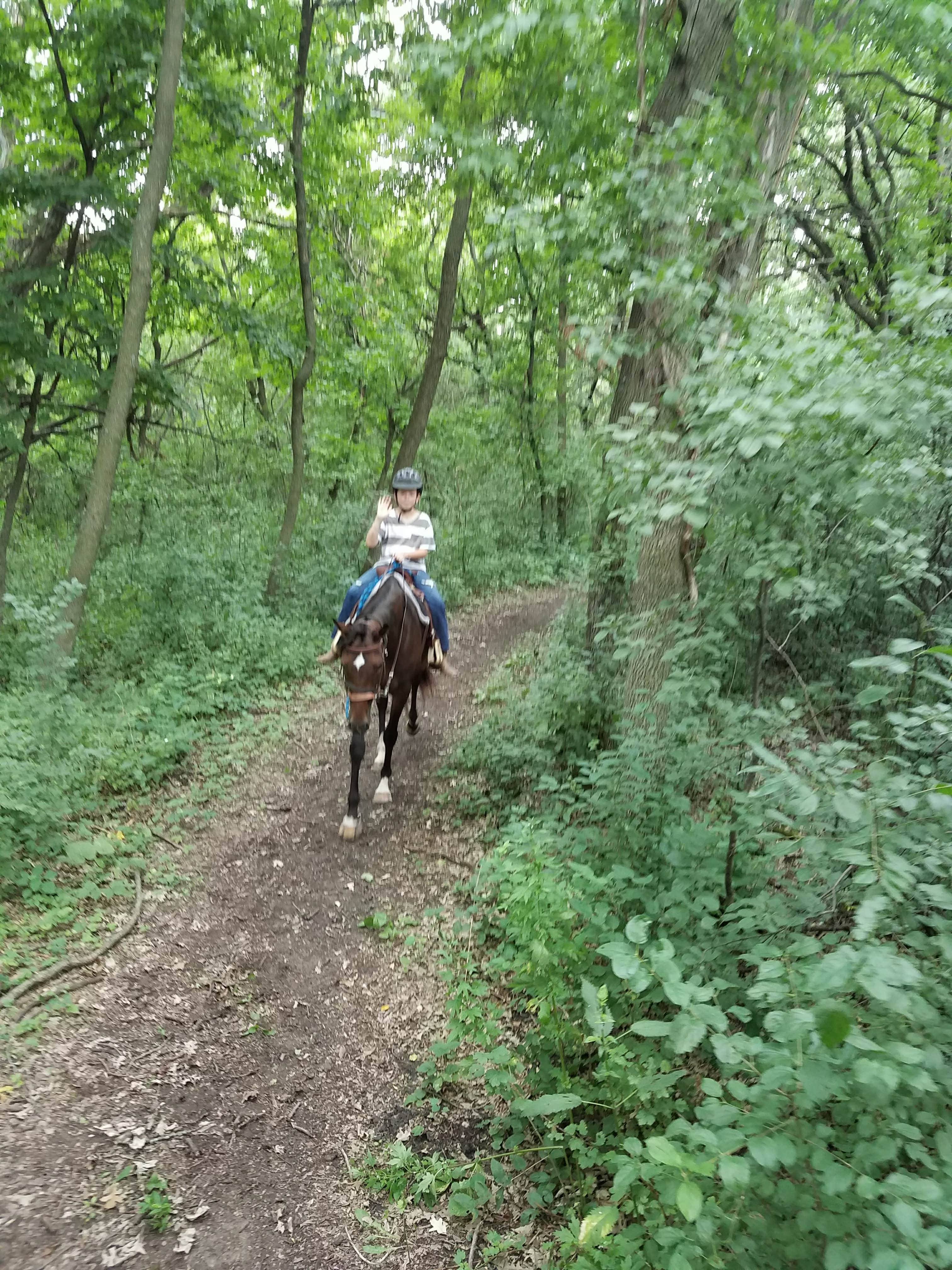 Camper submitted image from Fort Ridgely State Park Campground - 2