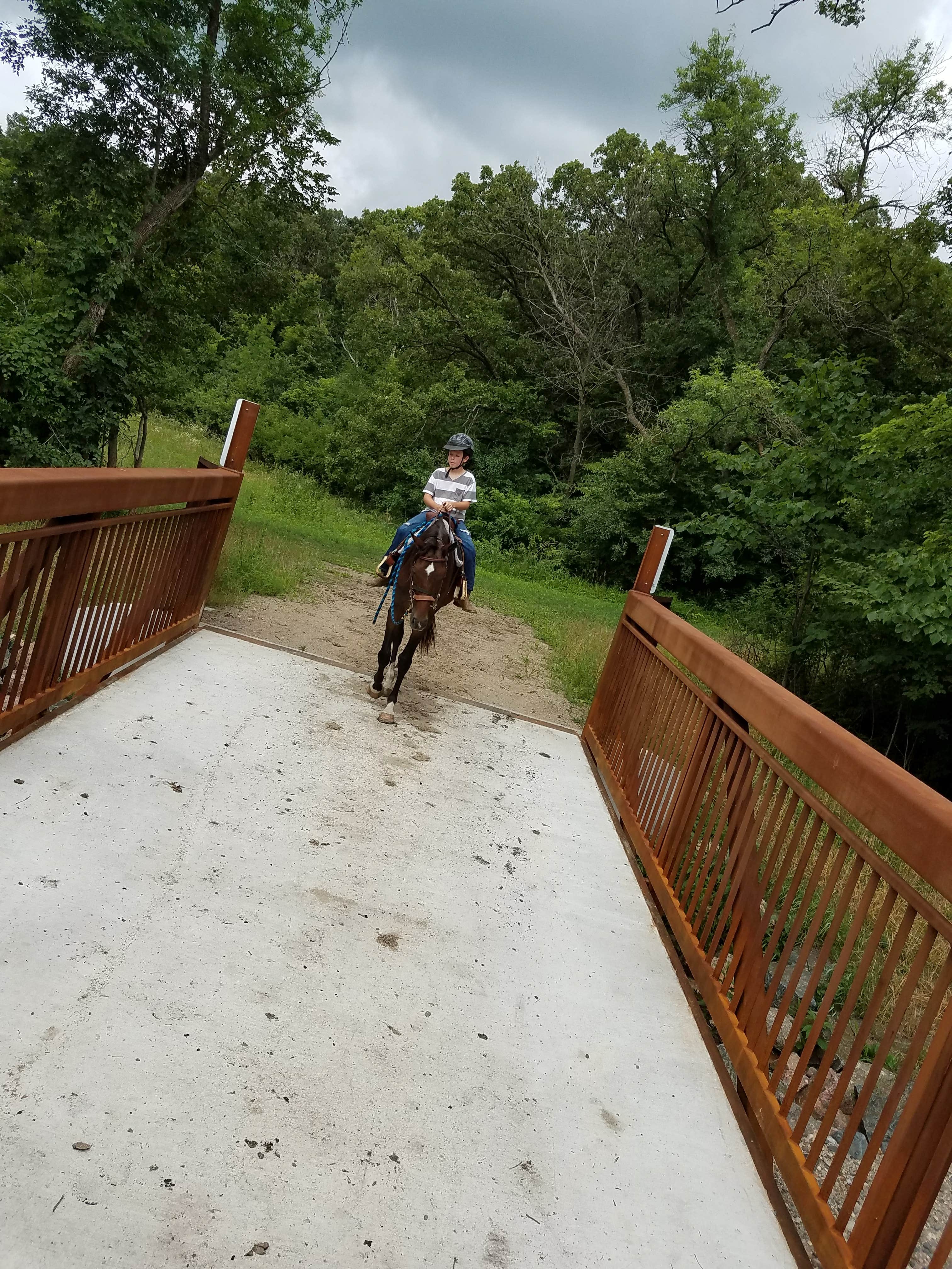Camper submitted image from Fort Ridgely State Park Campground - 4