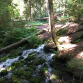 Review photo of Silver Springs Campground by Lisa D., July 24, 2017