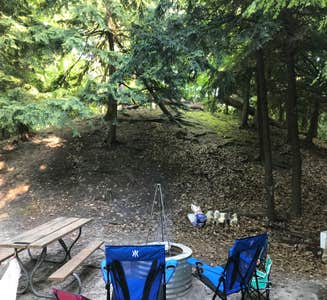 Camper-submitted photo from Cedar Campground — Ludington State Park