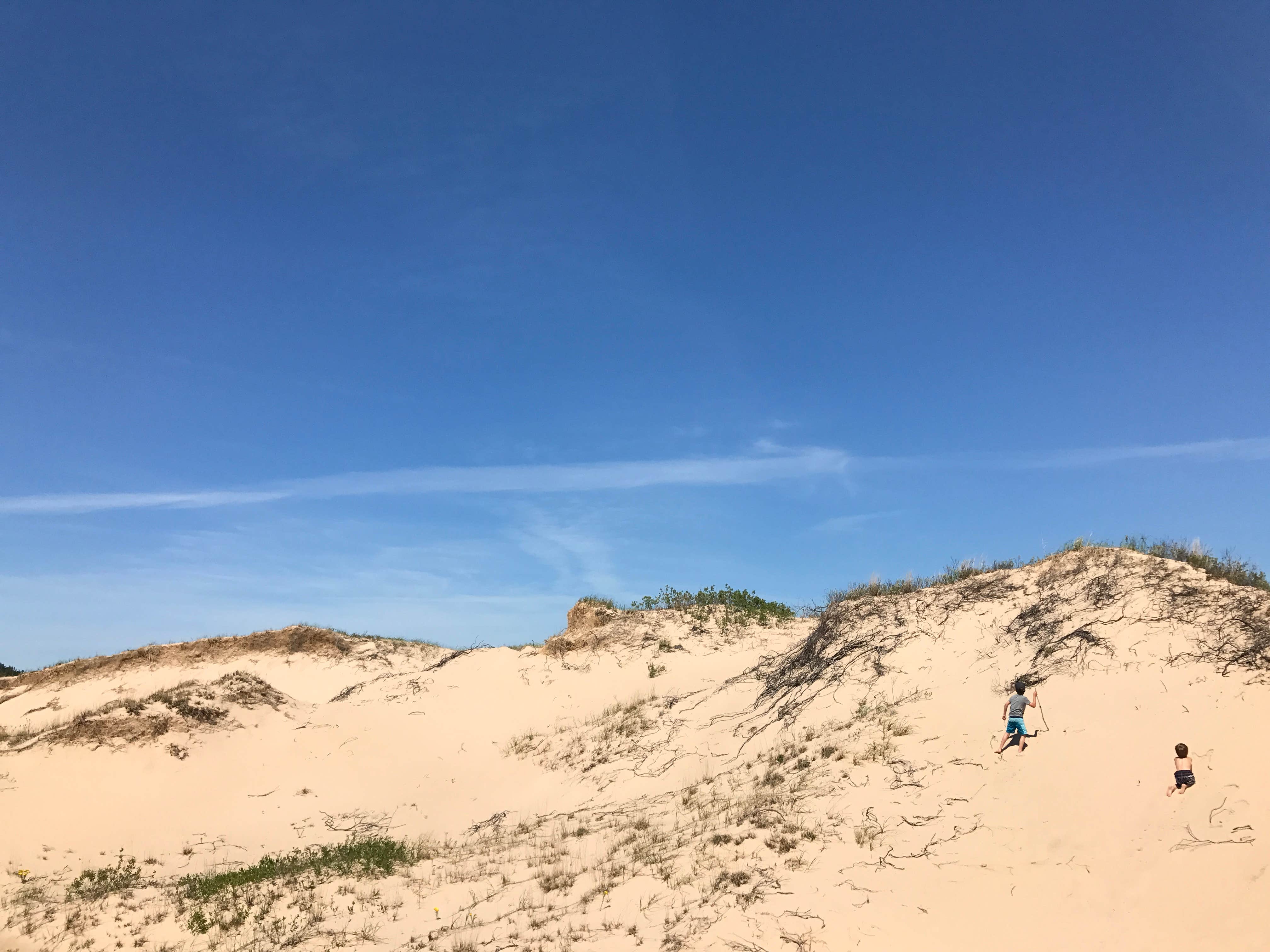 Camper-submitted photo at Cedar Campground — Ludington State Park near Custer, MI