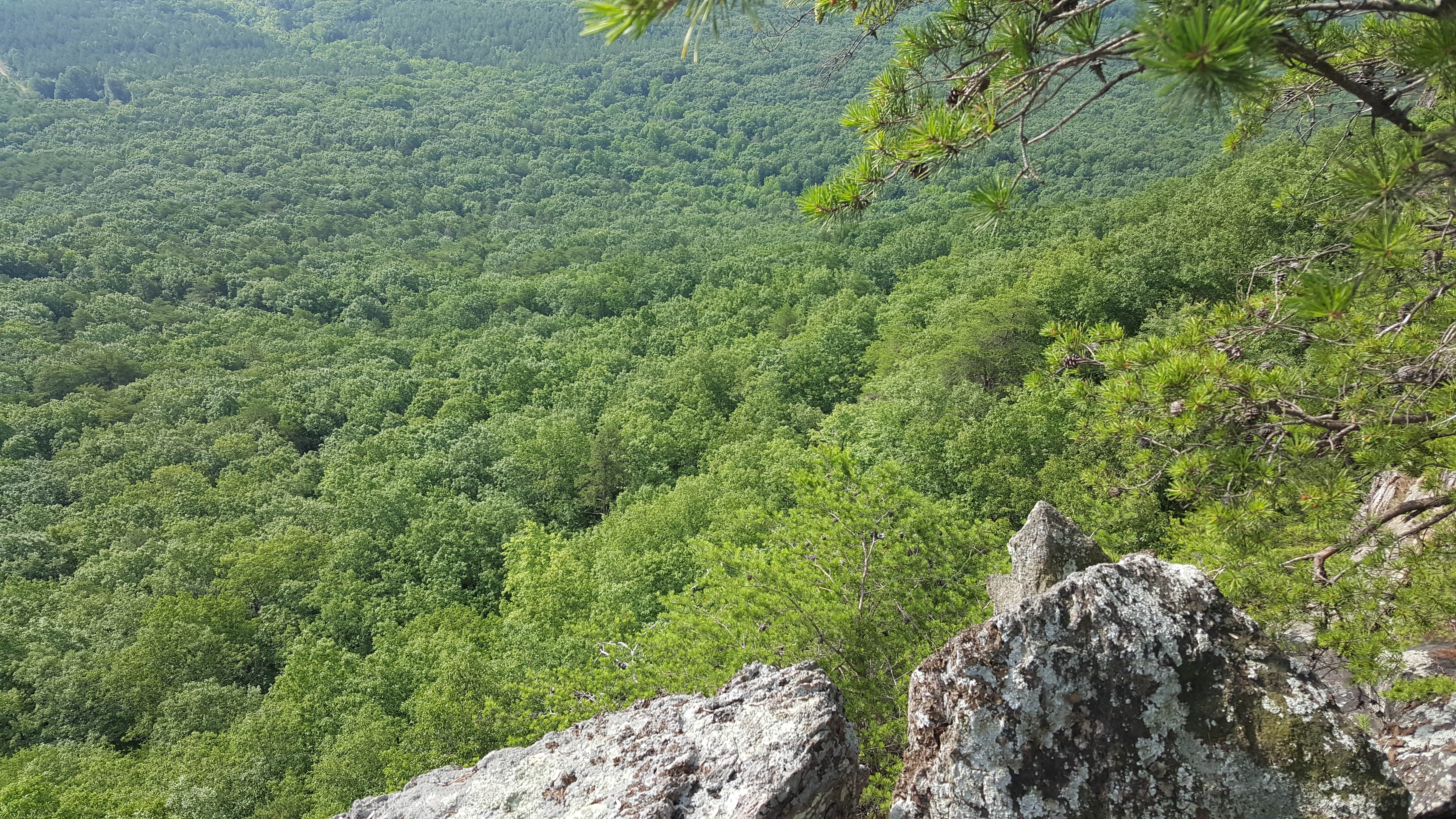 Crowders Mountain State Park Campground