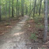 Review photo of Kings Mountain — Kings Mountain State Park by Melena H., July 24, 2017