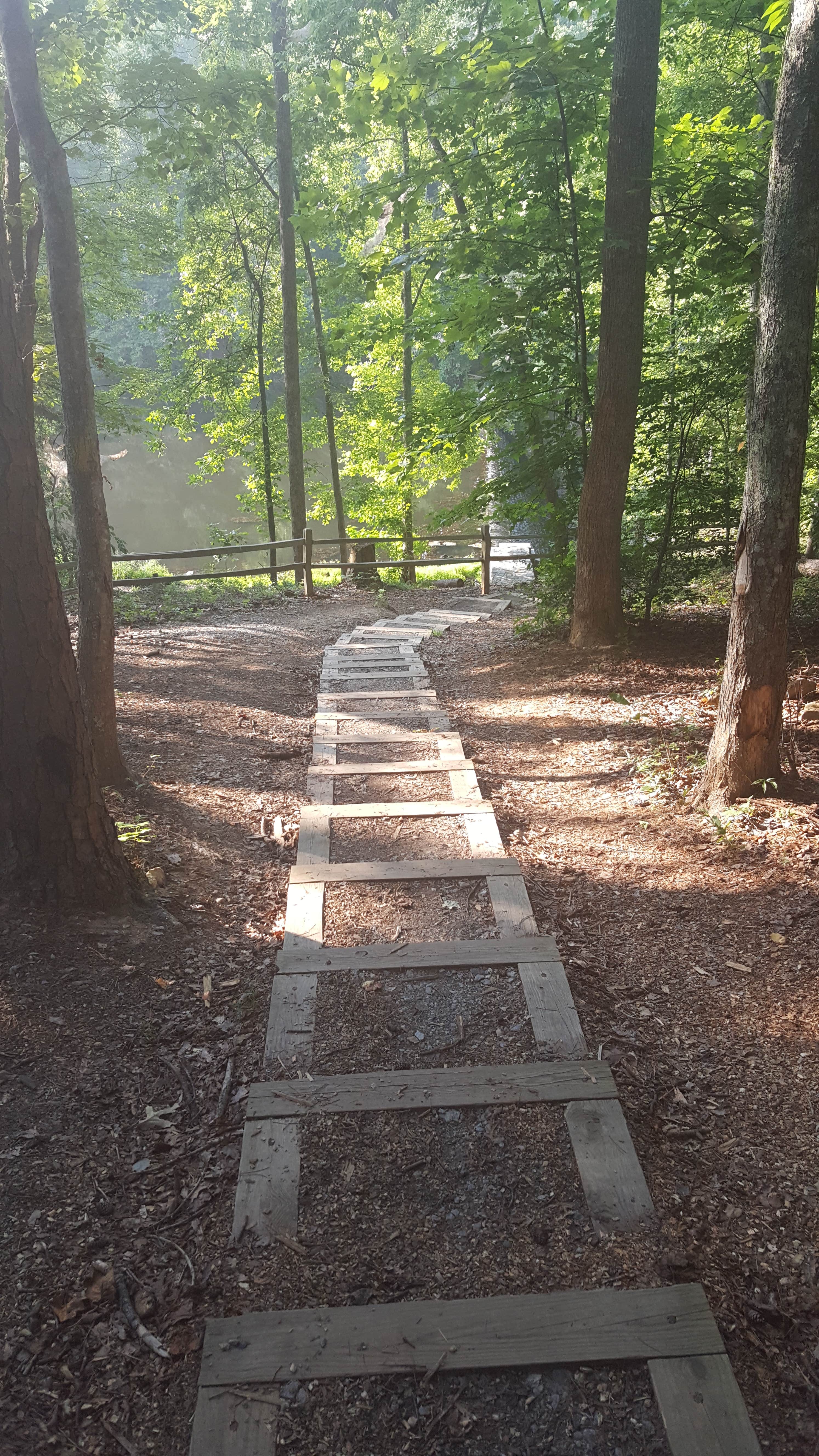 Camper submitted image from Kings Mountain — Kings Mountain State Park - 5
