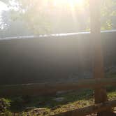Review photo of Kings Mountain — Kings Mountain State Park by Melena H., July 24, 2017