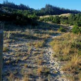 Review photo of Tahkenitch Campground by Tj B., July 24, 2017