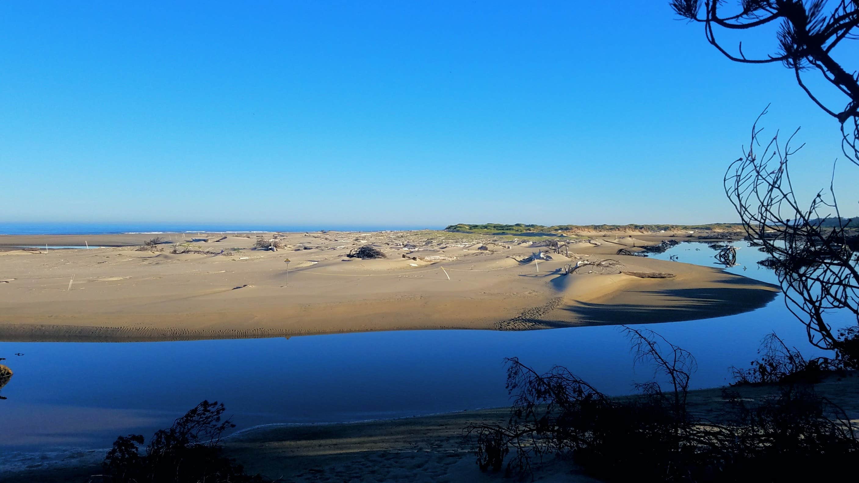 Camper submitted image from Tahkenitch Campground - 2