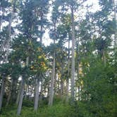 Review photo of Tahkenitch Campground by Tj B., July 24, 2017