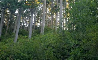 Tj B.'s photo at Tahkenitch Campground near Gardiner, OR