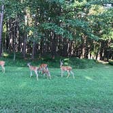 Review photo of Horseshoe Bend Rec Area & Campground by Steve W., July 24, 2017